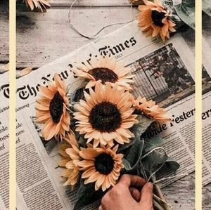 Meet your Posher, Ashleigh